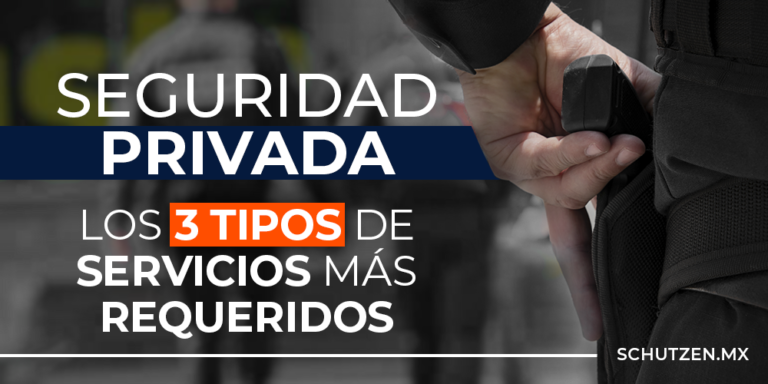 Dentro de la Seguridad Privada: los 3 tipos de servicios más requeridos por las empresas (desde PyMEs hasta grandes consorcios) son: Seguridad Intramuros, escoltas/custodios y la seguridad en el traslado de valores; cada uno de ellos cubre necesidades específicas, dependiendo la empresa y/o sector de la misma.